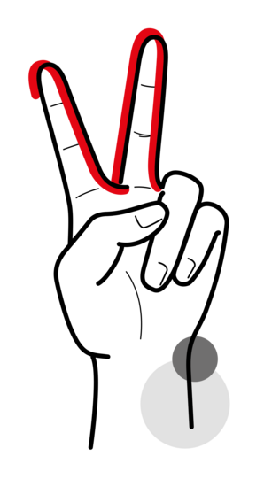 eine zur Faust geballte skizzierte Hand, bei der Zeige- und Mittelfinger zum Peace- Zeichen ausgestreckt sind und deren Innenseiten sowie Spitzen durch eine rote Linie hervorgehoben werden 